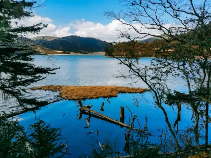 WagonBet Spilavíti Farsímaforrit